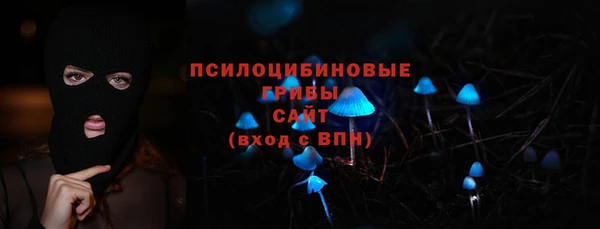 винт Богданович